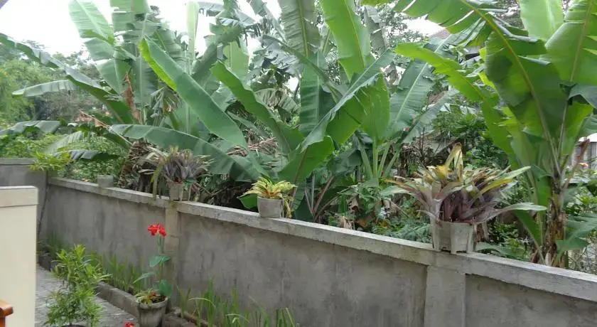 Убуд: Sintya Homestay