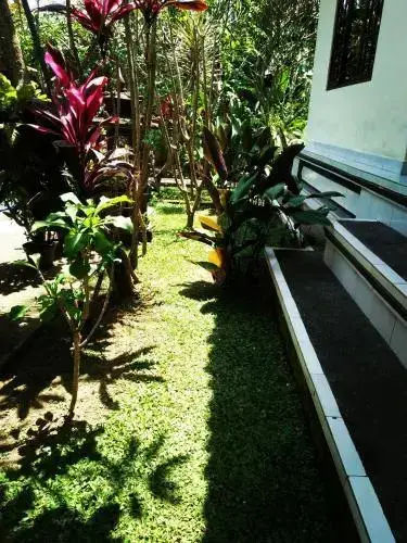 Убуд: Citrus Tree B&B - Darta