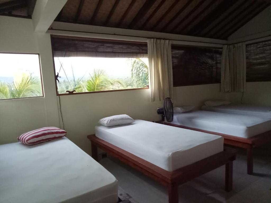 Пурвакерти: Amed Stop Inn