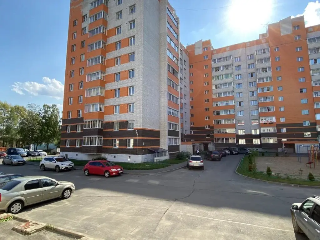 Вологда: Квартира Сэр Кот