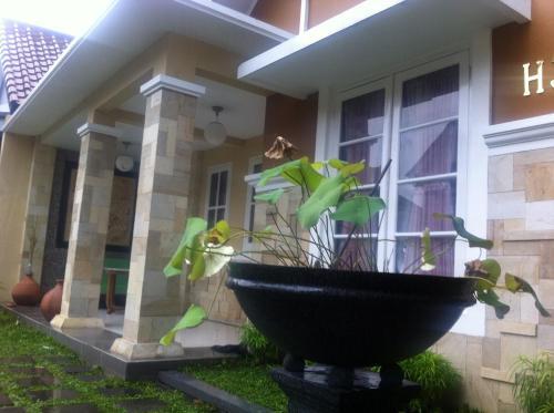 Слеман: Tasya Family Guest House