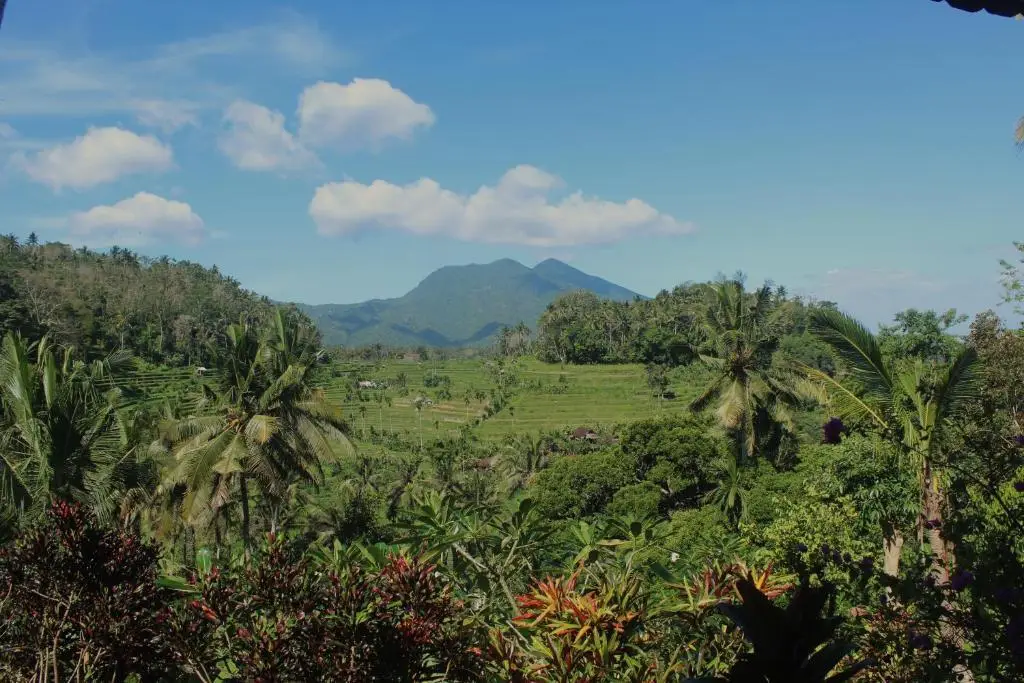 Абаби: Pondok Lembah Dukuh Homestay