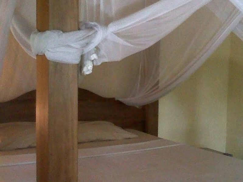 Artini 3 — фото 1