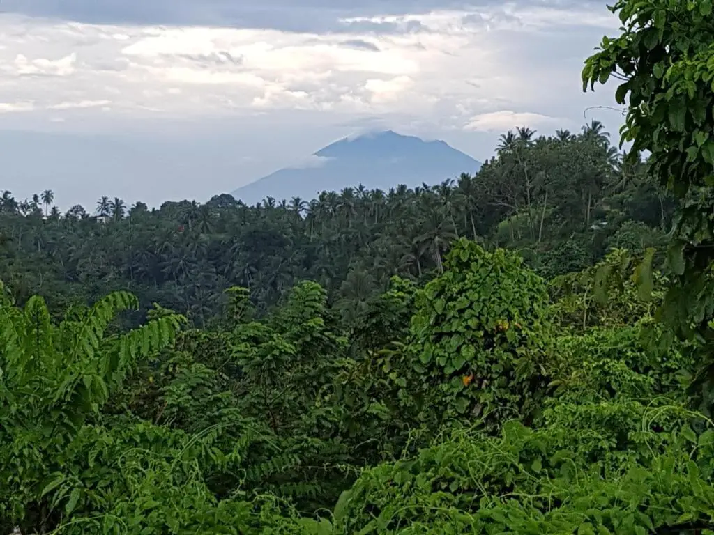 Убуд: Rumah Sungai