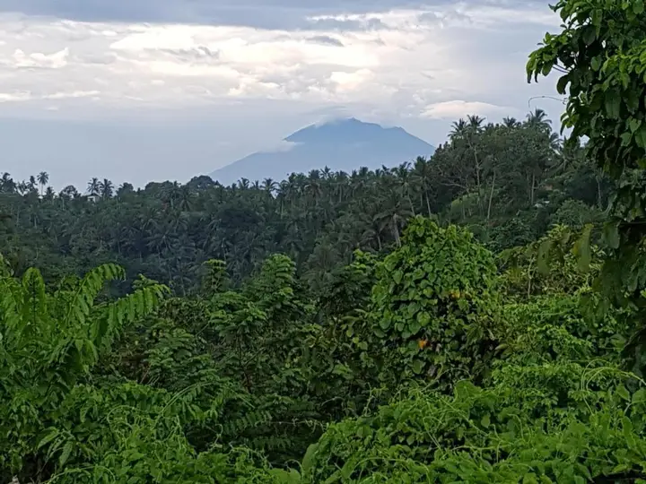 Убуд: Rumah Sungai