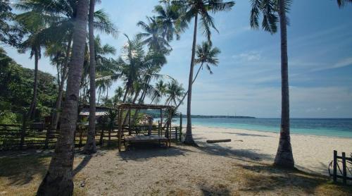 Бира: Mangga Lodge