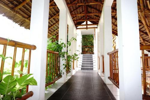 Бира: Mangga Lodge