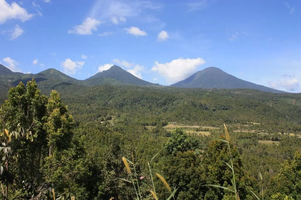 Мундук: Made Oka Homestay and Warung