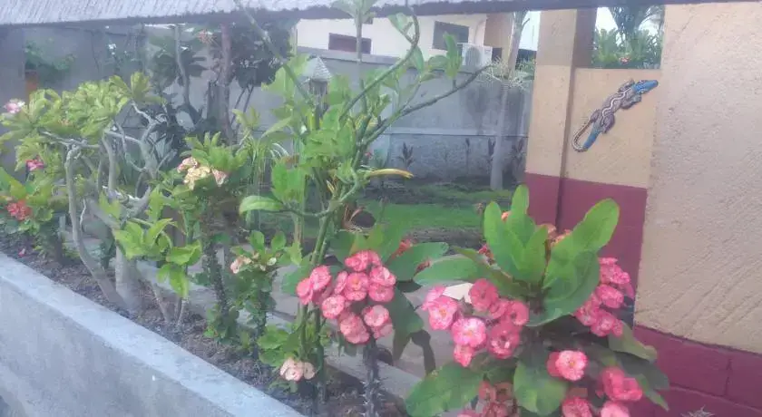 Гили Траванган: Pondok Gili Gecko