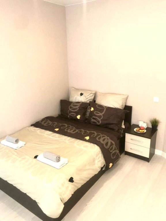 Новосибирск: Sibirian On Startovaya 1 Apartments