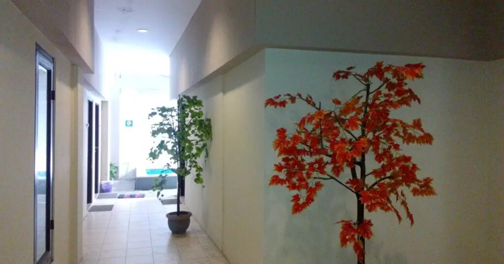 Галле: Bali Dream Costel Hotel
