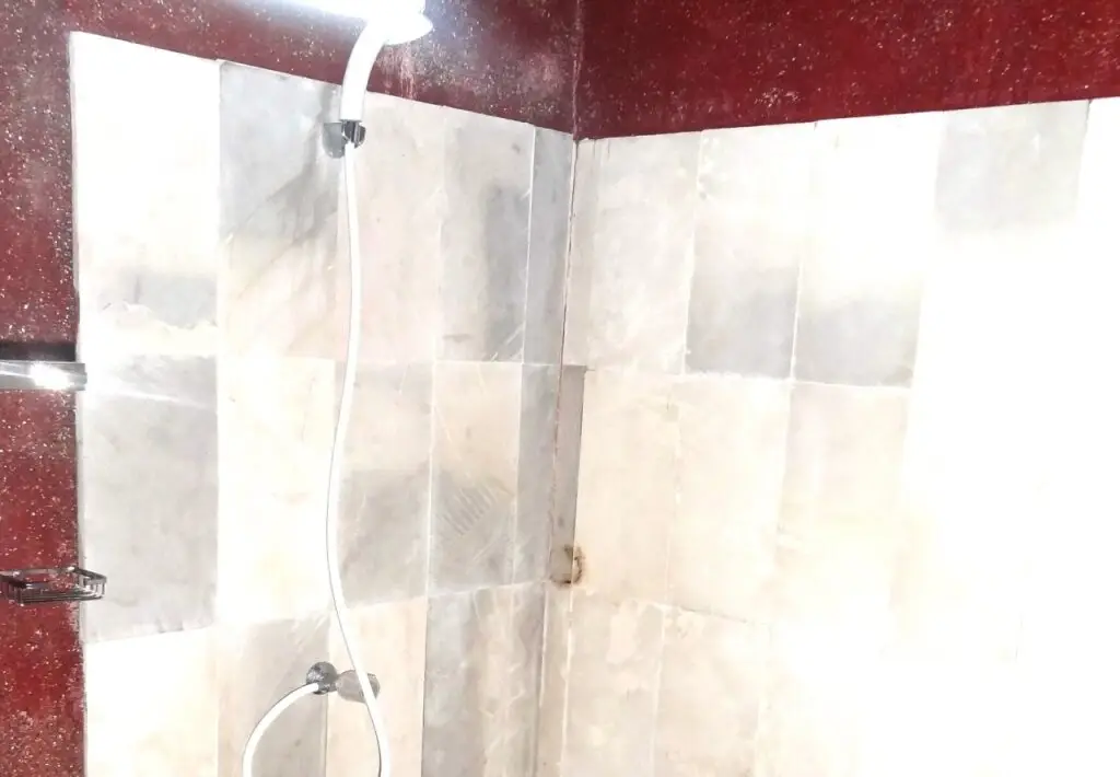 Гили Аир: Ayuza Homestay