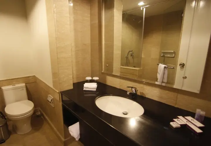 Джакарта: Diradja Hotel