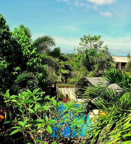 Унгасан: Mango Surf Lodge
