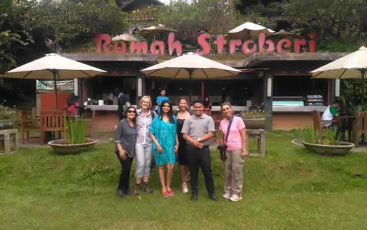 Паромпонг: Rumah Stroberi Organic Farm and Lodge