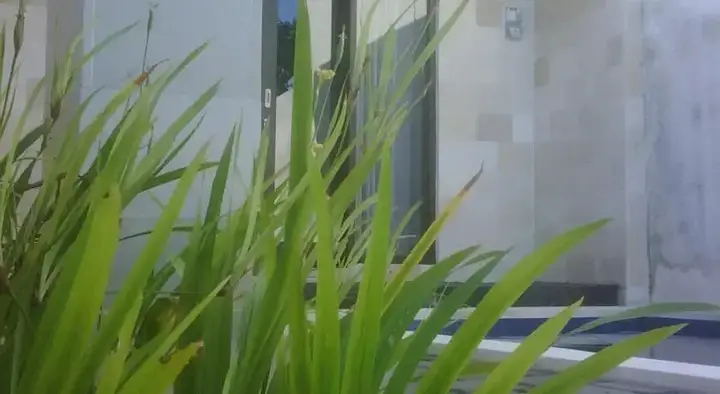 Унгасан: Pecatu Palm Villas