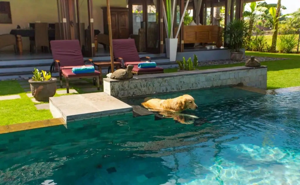 Сепака: Villa Kaba Kaba Resort Bali