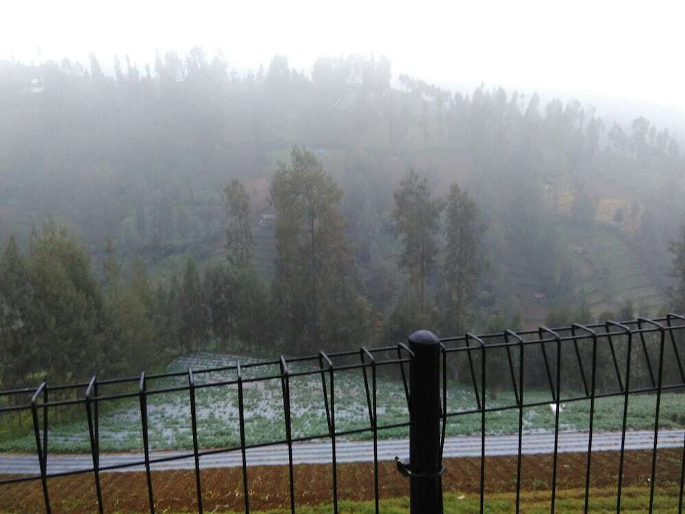 Надисари: Jazzi Homestay