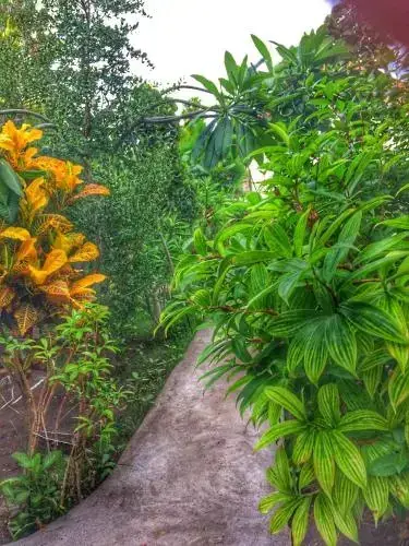 Гили Аир: Gili Spoy - Spoy Homestay