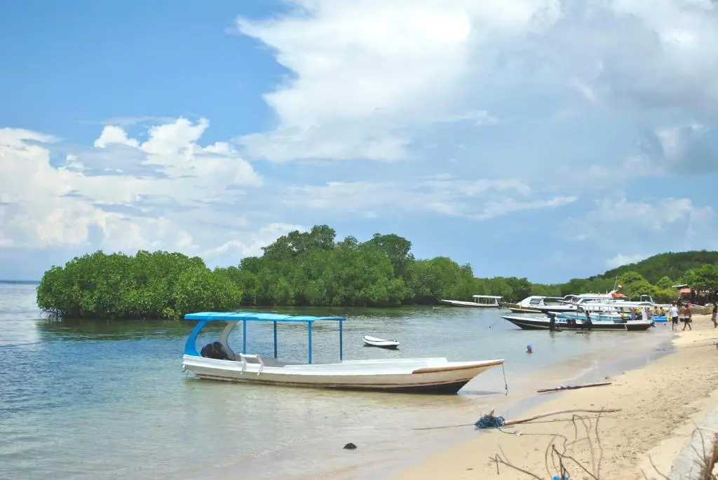 Лембонган-Айленд: Damara Lembongan