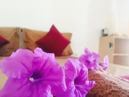 Лембонган-Айленд: Suba Guesthouse