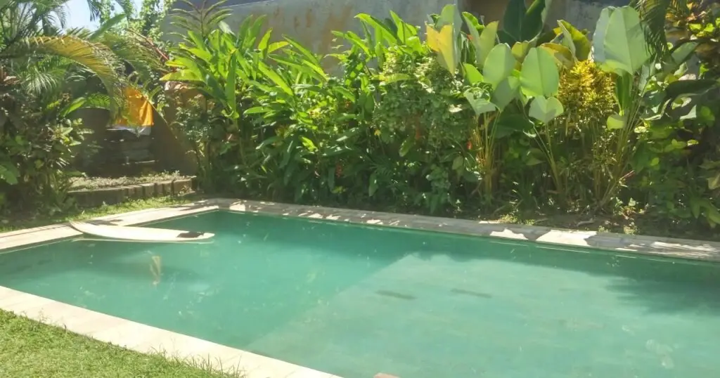 Чангу: Berawa Beach Garden Hostel