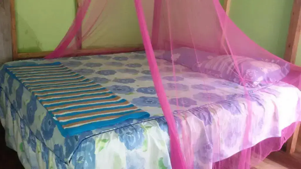 Батанг Серанган: Green Lodge Tangkahan