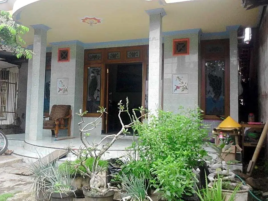 Остров Менджанган: Ijen Adventure Inn