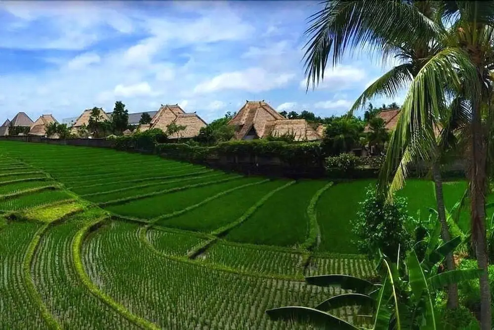 Переренан: Canggu Beach Hostel