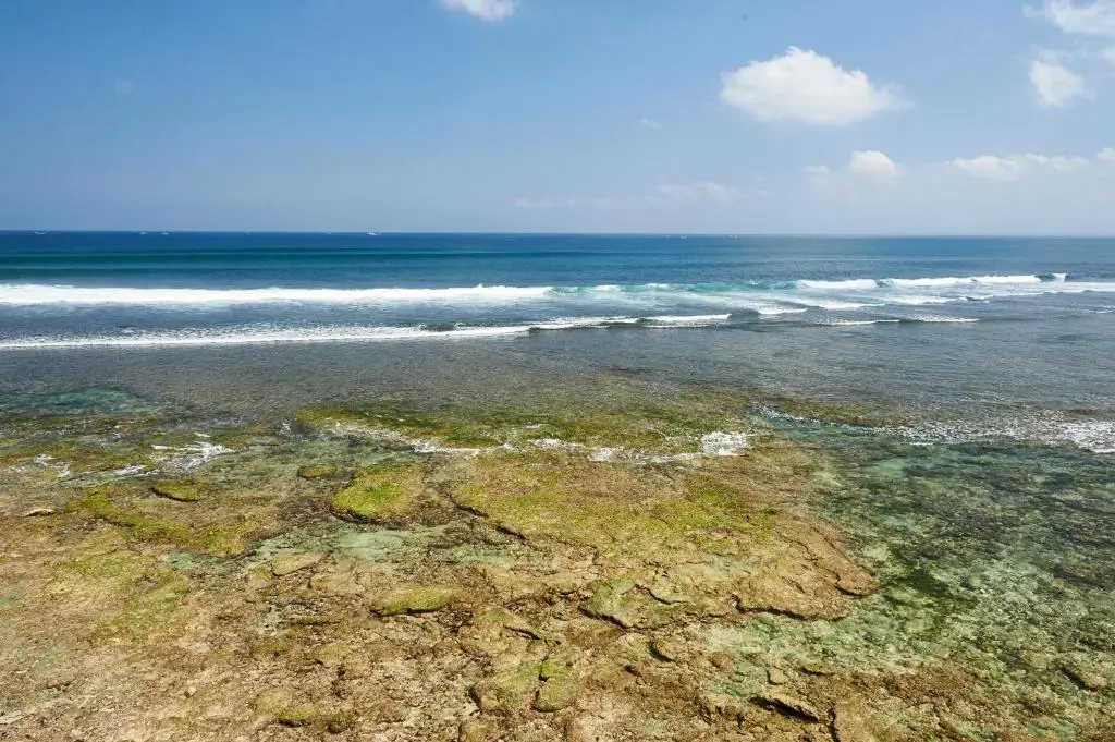 Пекату: The Island Houses Bingin