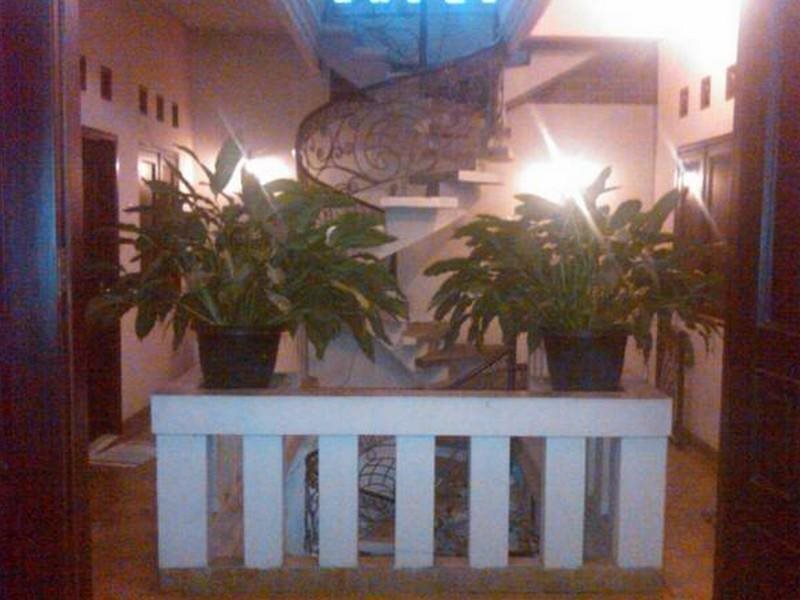 Чимахи: Rancho Topaz Guesthouse