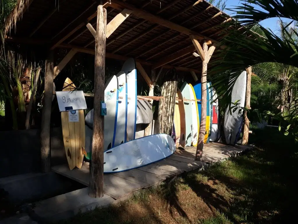 Кута: Palm Green Homestay