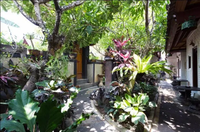 Керобокан: Dana Guesthouse Bali
