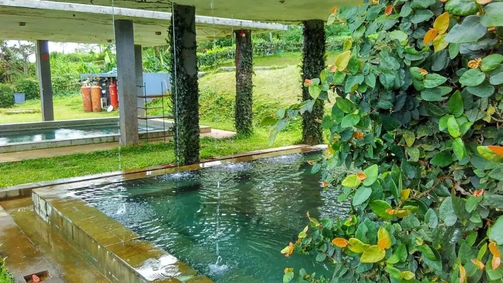 Ванаяса: Tea Garden Resort