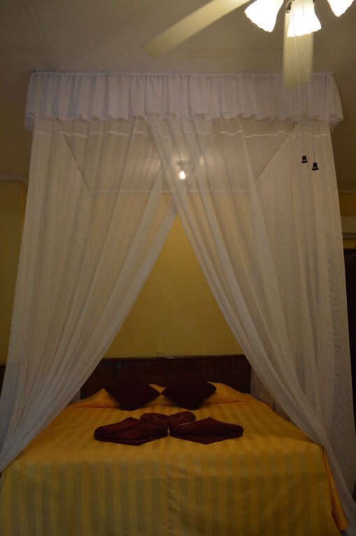 Пангкаланбун: Rimba Orangutan Eco Lodge