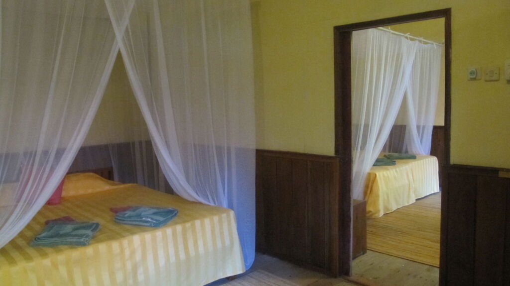 Пангкаланбун: Rimba Orangutan Eco Lodge