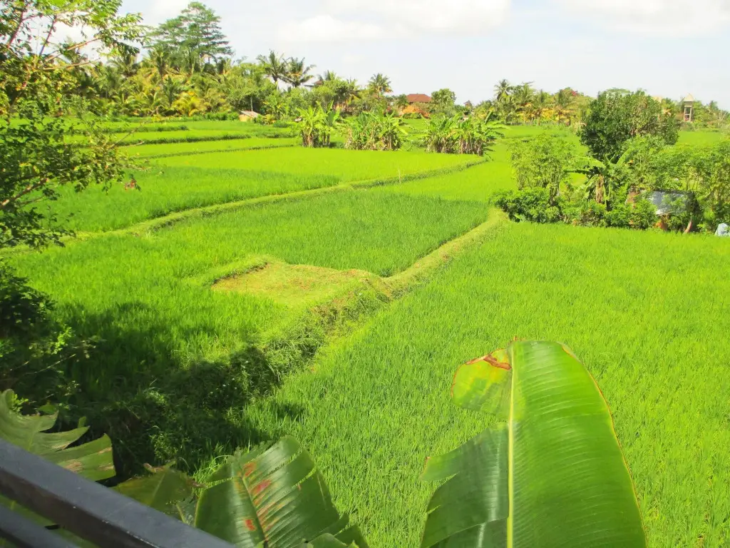 Убуд: Panorama Ubud Private Villa