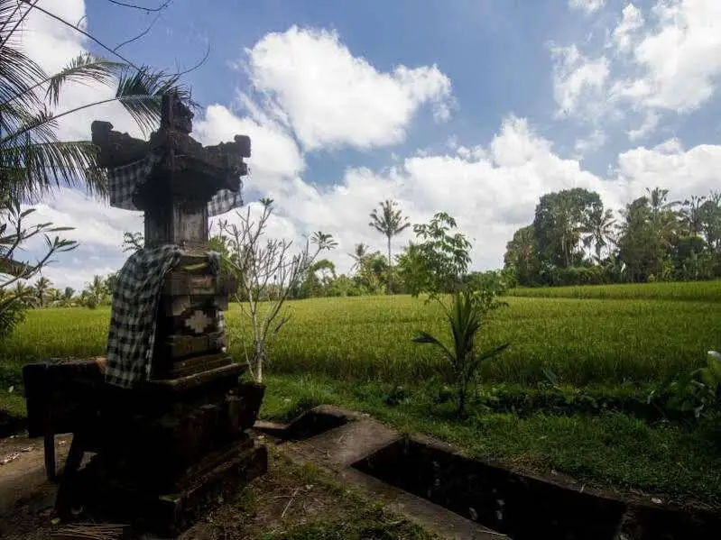 Паянган: Step Ubud Hotel Mountain View