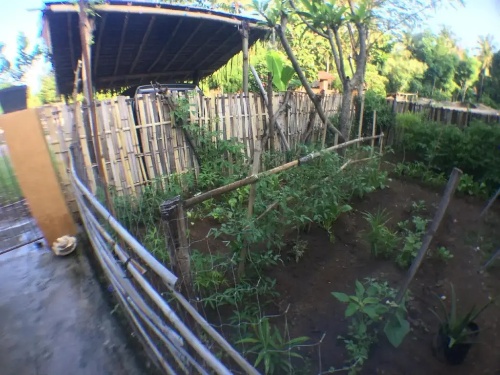Мангсит: Jeges Homestay