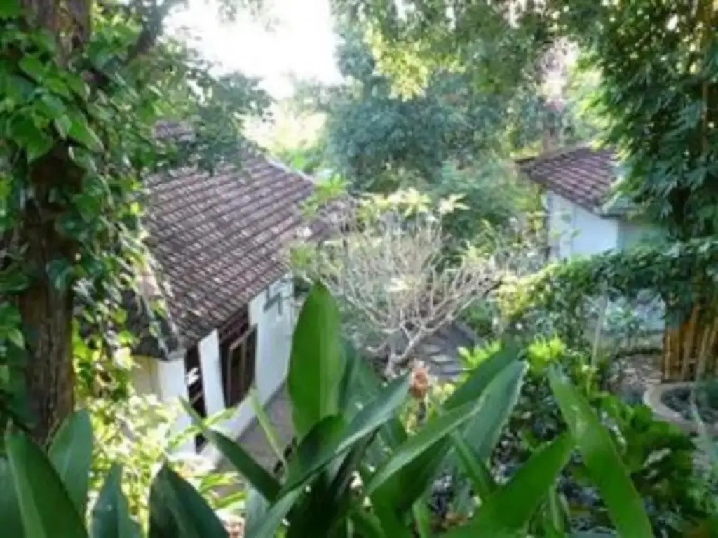 Сукасада: Sananda Bungalow