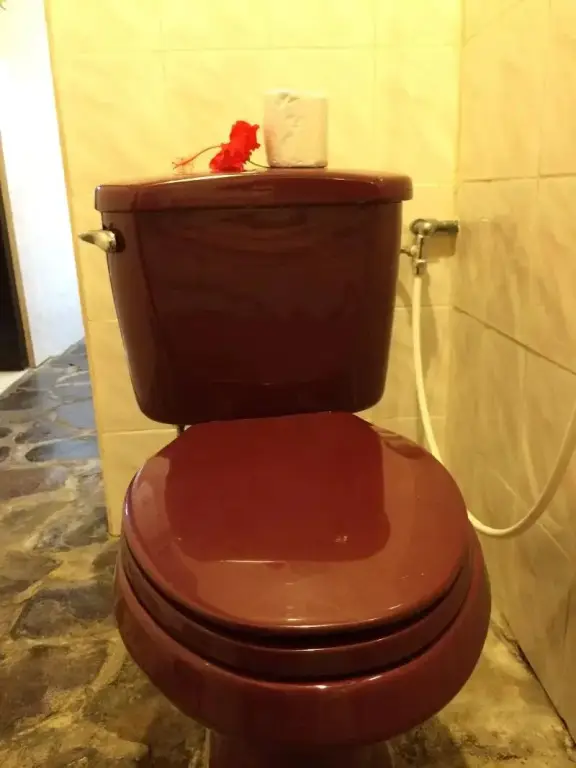 Батурити: Pacung Indah Hotel & Restaurant