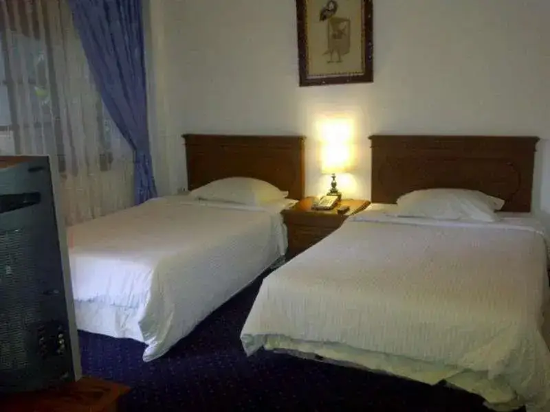 Суракарта: Lodging Hotel Sadinah