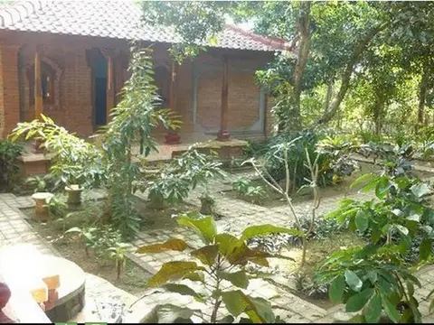 Pondok Abian Homestay Singaraja — фото 1