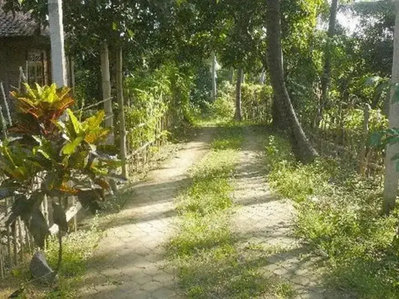 Саван: Pondok Abian Homestay Singaraja
