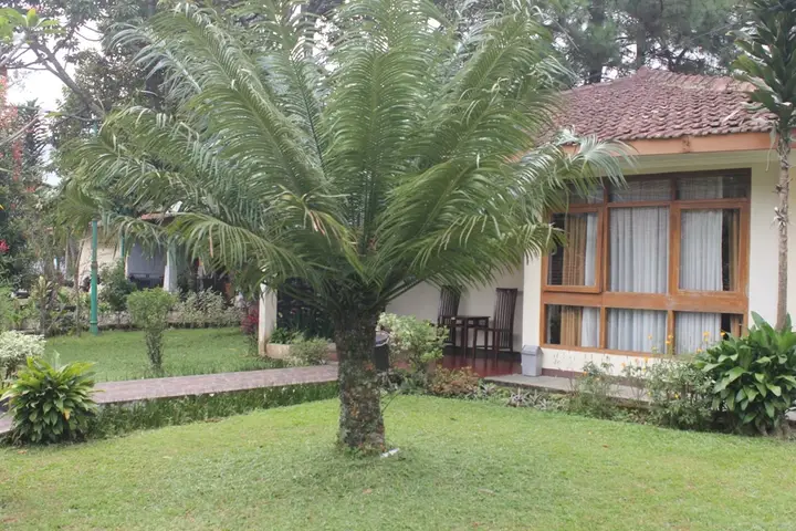 Сизаруа: Pesona Anggraini Hotel