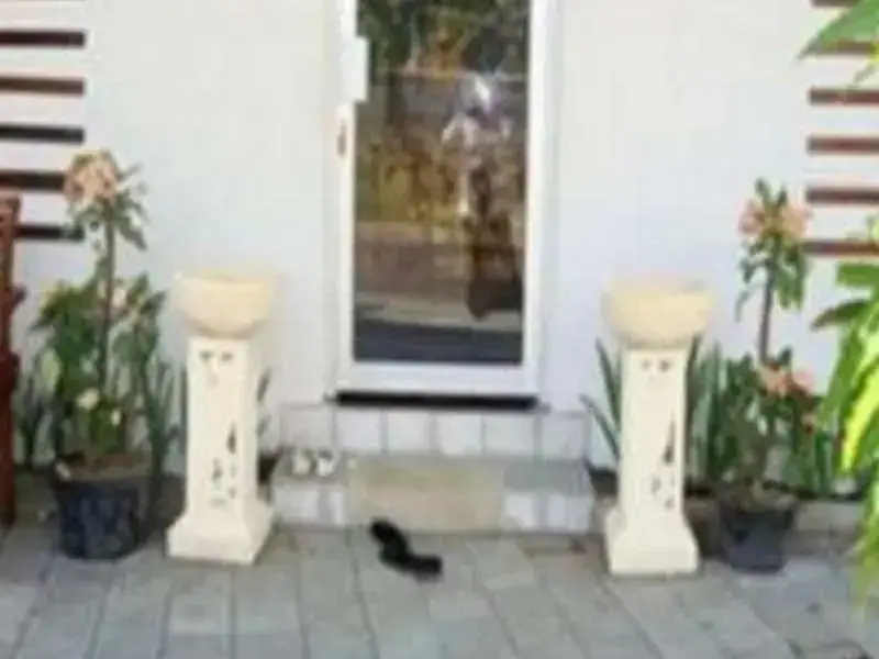 Беноа: Energy Home Stay