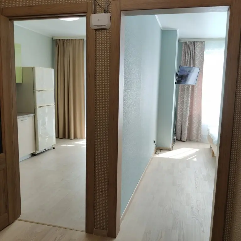 Уфа: Апартаменты SutkiUfa Рихарда Зорге 67/2.5