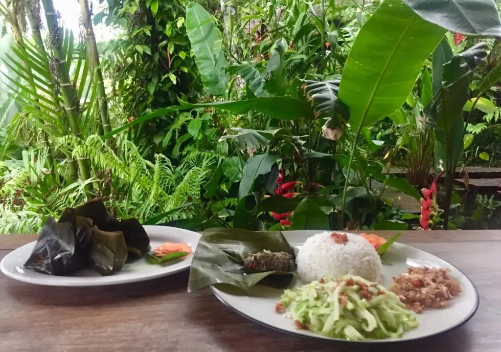Умеаньяр: Bali Mountain Retreat