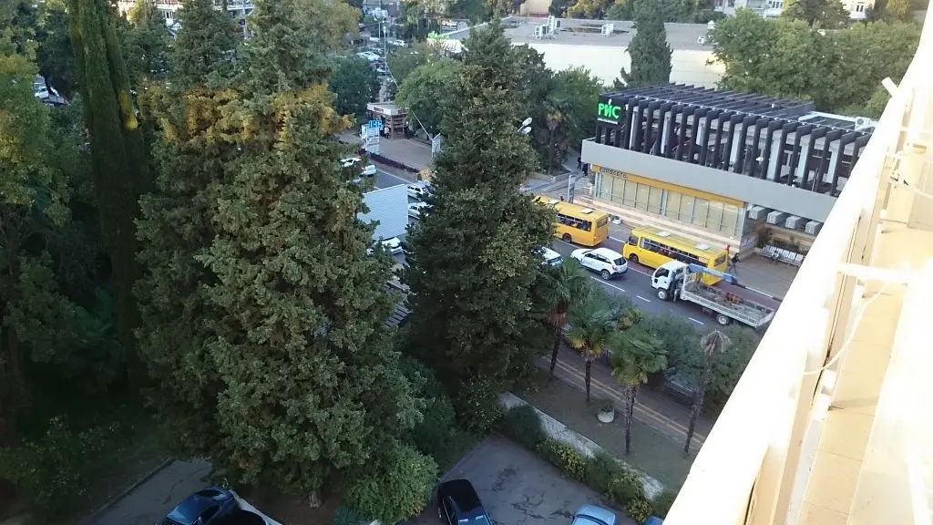 Сочи: Svetlana Appartaments