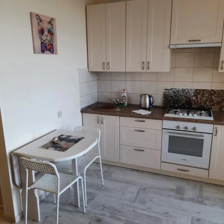 Светлогорск: Svetlogorsk 25 Kv Apartments